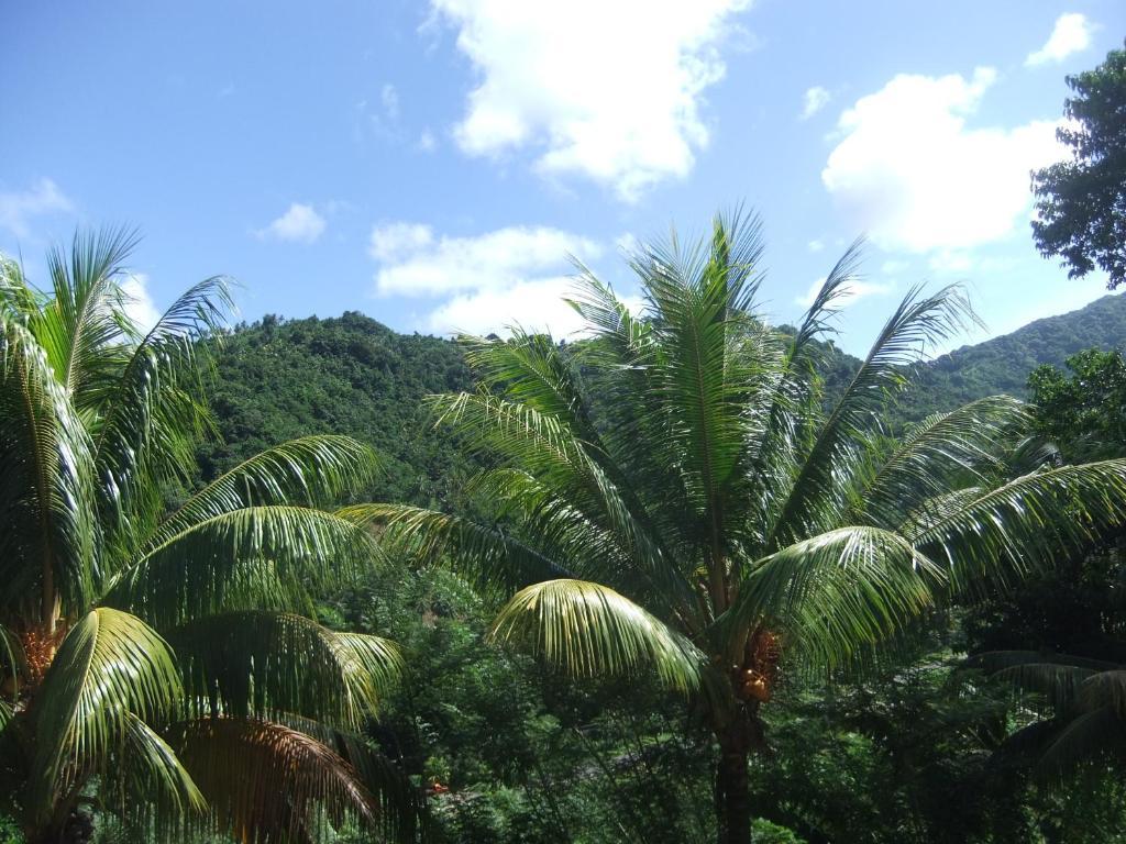 Serenity Lodges Dominica Marigot Room photo